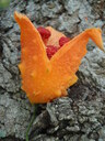 thumb_0810FL_070.jpg
