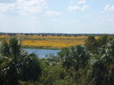 thumb_0810FL_076.jpg