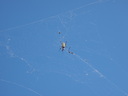 thumb_0810FL_083.jpg