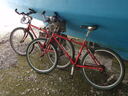 thumb_0810FL_087.jpg