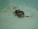 thumb_0810FL_088.jpg