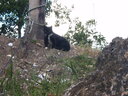 thumb_0811FL_007.jpg