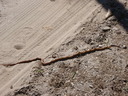 thumb_0811FL_011.jpg