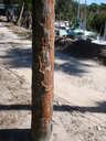 thumb_0811FL_016.jpg