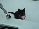 thumb_0811FL_018.jpg