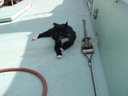 thumb_0811FL_019.jpg