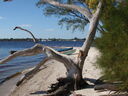thumb_0811FL_041.jpg