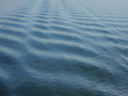 thumb_0811FL_046.jpg