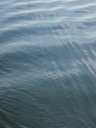 thumb_0811FL_047.jpg