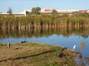 thumb_0811FL_060.jpg