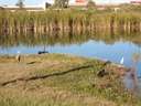 thumb_0811FL_105.jpg