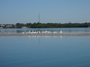 thumb_0811FL_126.jpg