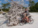 thumb_0811FL_134.jpg