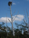 thumb_0811FL_135.jpg