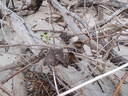 thumb_0811FL_137.jpg
