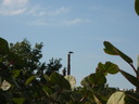 thumb_0811FL_138.jpg