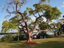 thumb_0811FL_139.jpg
