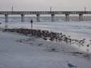 thumb_0811FL_146.jpg