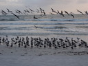 thumb_0811FL_148.jpg