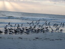 thumb_0811FL_150.jpg