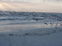 thumb_0811FL_152.jpg