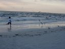 thumb_0811FL_153.jpg
