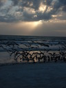 thumb_0811FL_155.jpg
