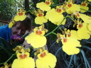 thumb_0812FL_030.jpg