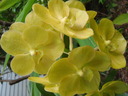thumb_0812FL_037.jpg