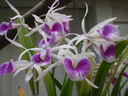 thumb_0812FL_047.jpg