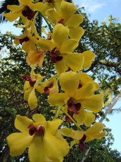 thumb_0812FL_050.jpg