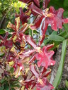 thumb_0812FL_051.jpg