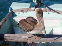 thumb_0812FL_070.jpg