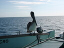 thumb_0812FL_088.jpg