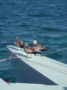 thumb_0812FL_090.jpg