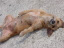 thumb_0812FL_199.jpg
