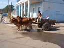 thumb_0901CUB.JPG