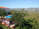thumb_0901CU_021.jpg