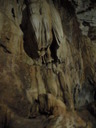 thumb_0901CU_057.jpg
