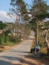 thumb_0901CU_065.jpg