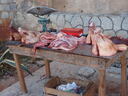 thumb_0901CU_067.jpg