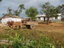 thumb_0901CU_069.jpg