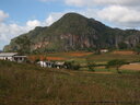 thumb_0901CU_070.jpg