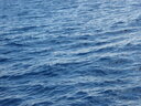 thumb_0901CU_077.jpg