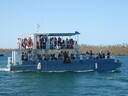 thumb_0901CU_088.jpg
