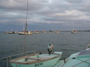 thumb_0901CU_128.jpg