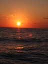 thumb_0901CU_132.jpg