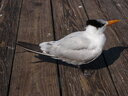 thumb_0902FL_006.jpg