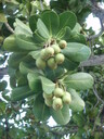 thumb_0902FL_012.jpg