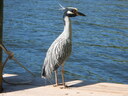 thumb_0902FL_034.jpg